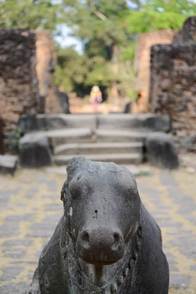 Heilige koe sculptuur op de tempel — Stockfoto