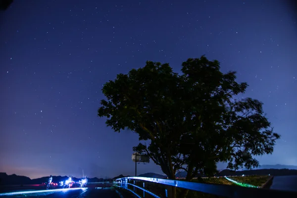 Güzel yıldız gece bir alanı tek bir ağaç — Stok fotoğraf