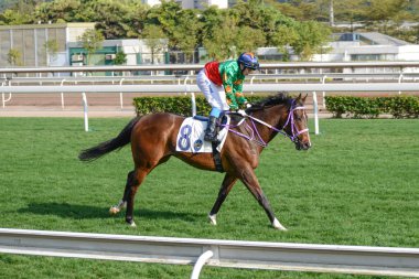 Hong kong, Çin - 2 Şubat 2014: shatian alan hongkong jokey Kulübü'nün 2 Şubat 2014 hong kong yarış yarış atı.