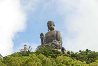 tian Buda hong Kong tan