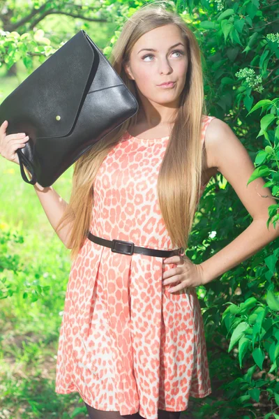 Beautiful girl with a folder in his hands — Stock Photo, Image