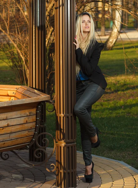 The beautiful young girl in posing — Stock Photo, Image