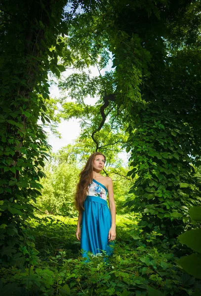 Beautiful girl in a long blue dress posing in a summer — Stock Photo, Image