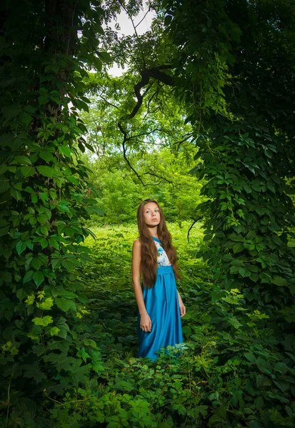 Vacker flicka i en lång blå klänning som poserar i en sommar — Stockfoto