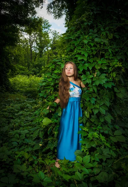 Όμορφο κορίτσι σε ένα μακρύ μπλε φόρεμα, θέτουν σε ένα καλοκαίρι — Φωτογραφία Αρχείου
