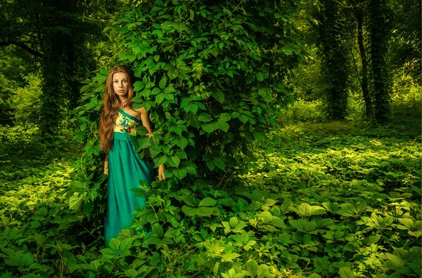 Mooi meisje in een lange blauwe jurk poseren in een zomer — Stockfoto