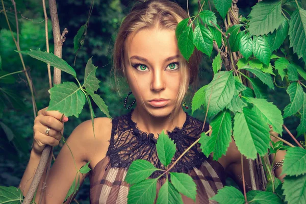 Schöne Mädchen in einem Kleid posiert vor einem Hintergrund aus Blättern — Stockfoto