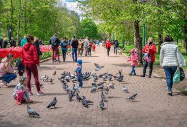 Kropyvnytskyi, Ukrayna 09.05.2021. Güneşli bir bahar gününde şehir parkında Kropyvnytskyi botanik bahçesi