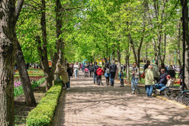 Kropyvnytskyi, Ukrayna 09.05.2021. Güneşli bir bahar gününde şehir parkında Kropyvnytskyi botanik bahçesi