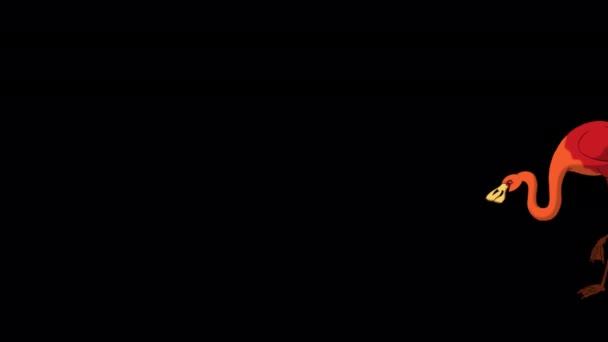 Танець Червоного Фламінго Анімовані Ручної Роботи Кадри Ізольовані Альфа Каналом — стокове відео