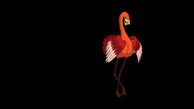 Kızıl flamingo dansı. El yapımı animasyon 4K görüntüsü alfa kanalı ile izole edildi. 
