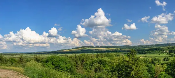 Panoramiczny Widok Przyrodę Wokół Zamku Olesko Ukraina Słoneczny Letni Dzień — Zdjęcie stockowe