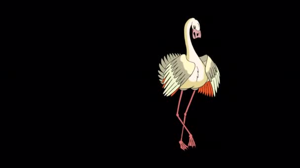 白フラミンゴのダンス アルファチャンネルで隔離された手作りのアニメーションループHd映像 — ストック動画