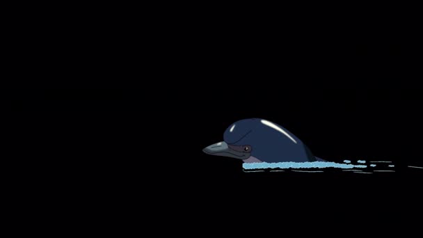 Дельфин Плавает Воде Ручной Анимированный Зацикленный Материал Изолированный Альфа Каналом — стоковое видео