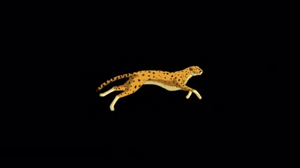 Rennende Cheeta Handgemaakte Geanimeerde Lussen Beelden Geïsoleerd Met Alfa Kanaal — Stockvideo