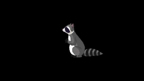 浣熊手工制作的动画4K画面 用阿尔法通道隔离 — 图库视频影像