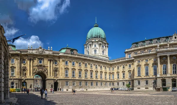 Βουδαπέστη Ουγγαρία 2021 Lions Αυλή Του Buda Castle Palace Στη — Φωτογραφία Αρχείου