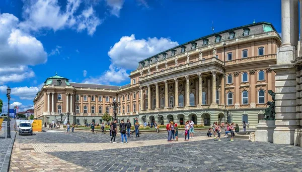 Budapešť Maďarsko 2021 Lví Dvůr Budínského Zámeckého Paláce Budapešti Maďarsko — Stock fotografie
