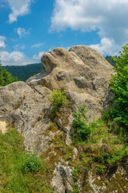 Tustan, Ukrayna 09.07.2021. Ukrayna, Tustan 'da eski bir Rus uçurum kenarı savunma kompleksi, bir yaz günü.