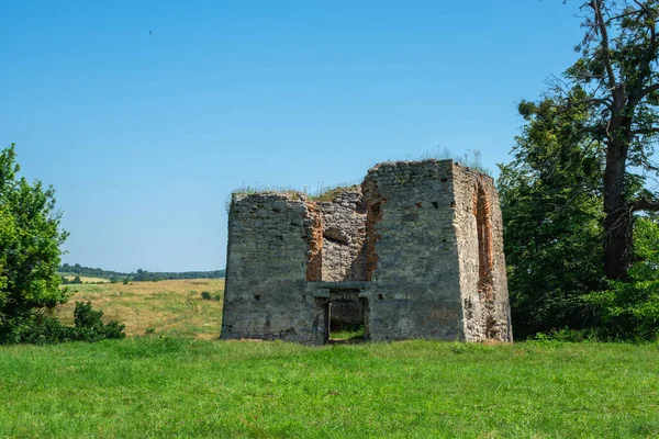 Svirzh Ukraine 2021 Château Svirzh Dans Région Lviv Ukraine Par — Photo