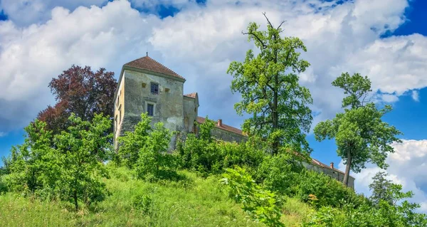 Vista Panoramica Della Natura Intorno Castello Svirzh Ucraina Una Giornata — Foto Stock