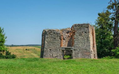 Svirzh, Ukrayna 10.07.2021. Ukrayna 'nın Lviv bölgesindeki Svirzh Kalesi güneşli bir yaz gününde