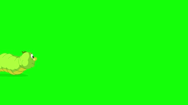 Green Caterpillar Crawling Handmade Animated Footage Isolated Green Screen — Stock Video