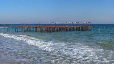 Odessa, Ukrayna 11.02.2022. Odessa, Ukrayna 'daki 13 Büyük Pınar İstasyonunda güneşli bir kış günü