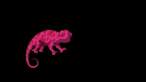 Rode Kameleon Handgemaakte Geanimeerde Beelden Geïsoleerd Met Alfa Kanaal — Stockvideo