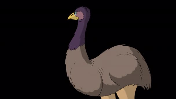 Gray Ostrich Screaming Indignantly Handmade Animated Footage Isolated Alpha Channel — Stock Video