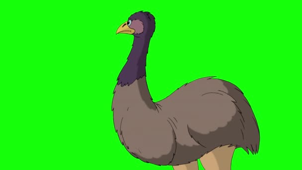 Gray Ostrich Screaming Indignantly Handmade Animated Footage Isolated Green Screen — Stock Video