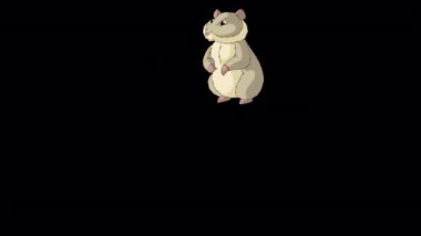 Gri hamster kaçar. El yapımı HD görüntüler alfa kanalı ile izole edildi. 