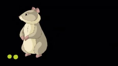 Gri hamster bezelye yer. El yapımı HD görüntüler alfa kanalı ile izole edildi. 