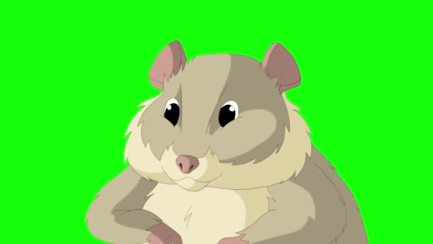 Gray Hamster Handmade Animated Footage Isolated Green Screen — Stock Video