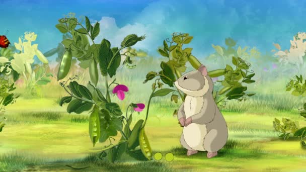 Gray Hamster Pea Field Handmade Animated Footage — Stock Video