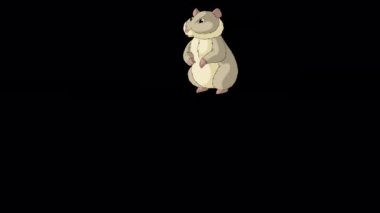 Gri hamster kaçar. El yapımı animasyon 4K görüntüleri alfa kanalı ile izole edildi. 