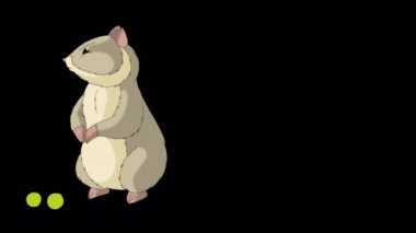 Gri hamster bezelye yer. El yapımı animasyon 4K görüntüleri alfa kanalı ile izole edildi. 