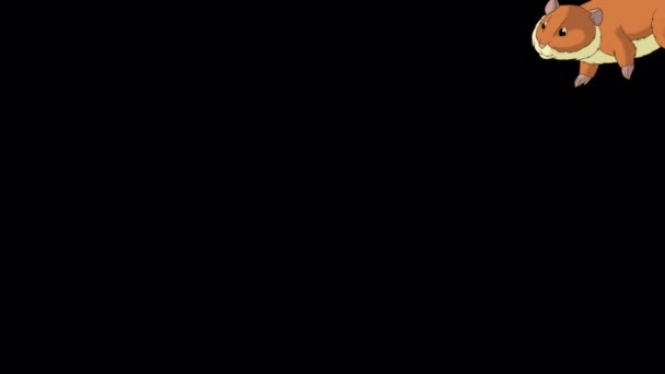 Червоний Хом Ячок Йде Анімовані Кадри Ручної Роботи Ізольовані Допомогою — стокове відео