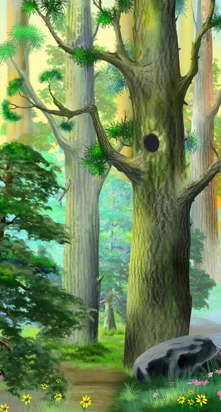 夏天的一天 在针叶林的一棵大松树上打洞 数码绘画背景 — 图库照片