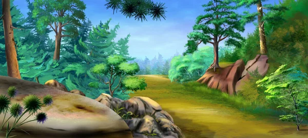 Wide Path Forest Summer Day Digital Painting Background Illustration — Stock Photo, Image
