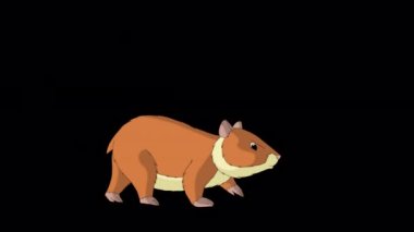 Kırmızı hamster yürüyor. El yapımı animasyon 4K görüntüleri alfa kanalı ile izole edildi. 