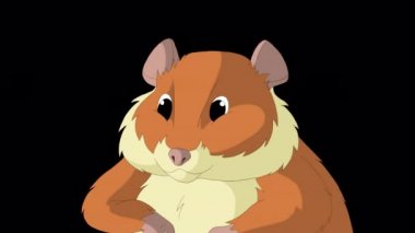 Kırmızı hamster. El yapımı animasyon 4K görüntüleri alfa kanalı ile izole edildi. 