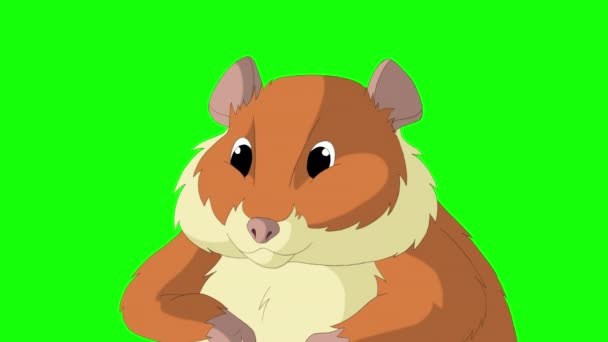 Rode Hamster Handgemaakte Geanimeerde Beelden Geïsoleerd Groen Scherm — Stockvideo