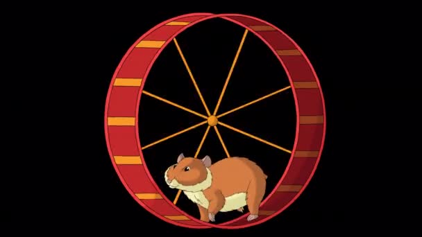 红色仓鼠在轮子上奔跑 手工制作的动画4K画面 用阿尔法通道隔离 — 图库视频影像