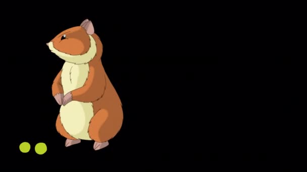 Hamster Merah Makan Kacang Polong Rekaman Animasi Buatan Tangan Diisolasi — Stok Video