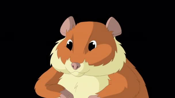 Red Hamster Handmade Animated Footage Isolated Alpha Channel — Stock Video