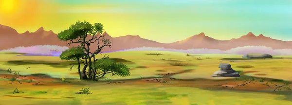 Пустынный Пейзаж Африканской Саванны Ранним Утром Цифровая Живопись Фон Иллюстрация — стоковое фото