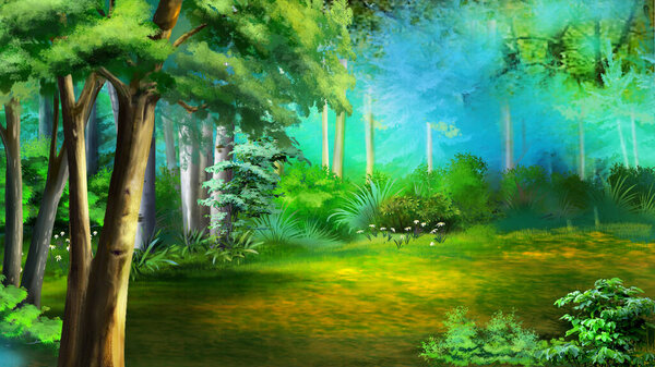 Forest glade on a sunny summer day. Digital Painting Background, Illustration.