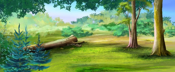 Leśna Polana Słoneczny Letni Dzień Cyfrowe Tło Malarstwa Ilustracja — Zdjęcie stockowe