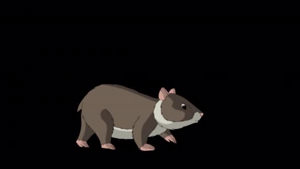 Brown Hamster Walks Handmade Animated Footage Isolated Alpha Channel — Stock Video